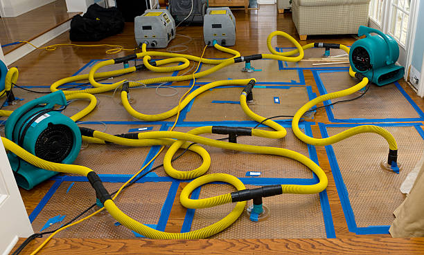 Professional Crawl Space Water Removal technician working in Gause, TX